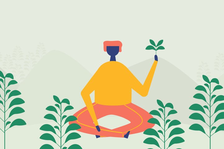 Bolivia, The Coca Leaf and the New Horizons of Plants Banned from International Markets